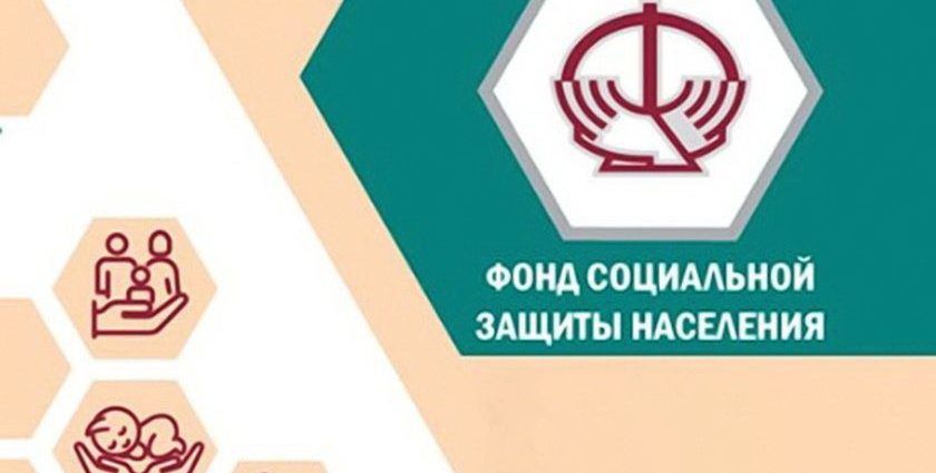 Пенсия для фермеров: как владельцу ЛПХ заработать трудовой стаж