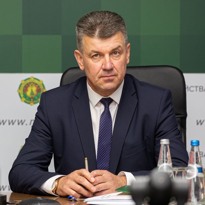 Кулик