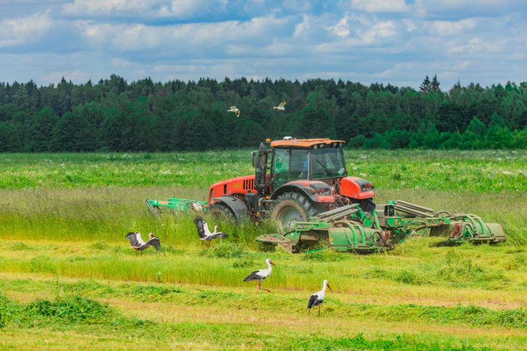 Кто лидирует на заготовке кормов в Узденском районе