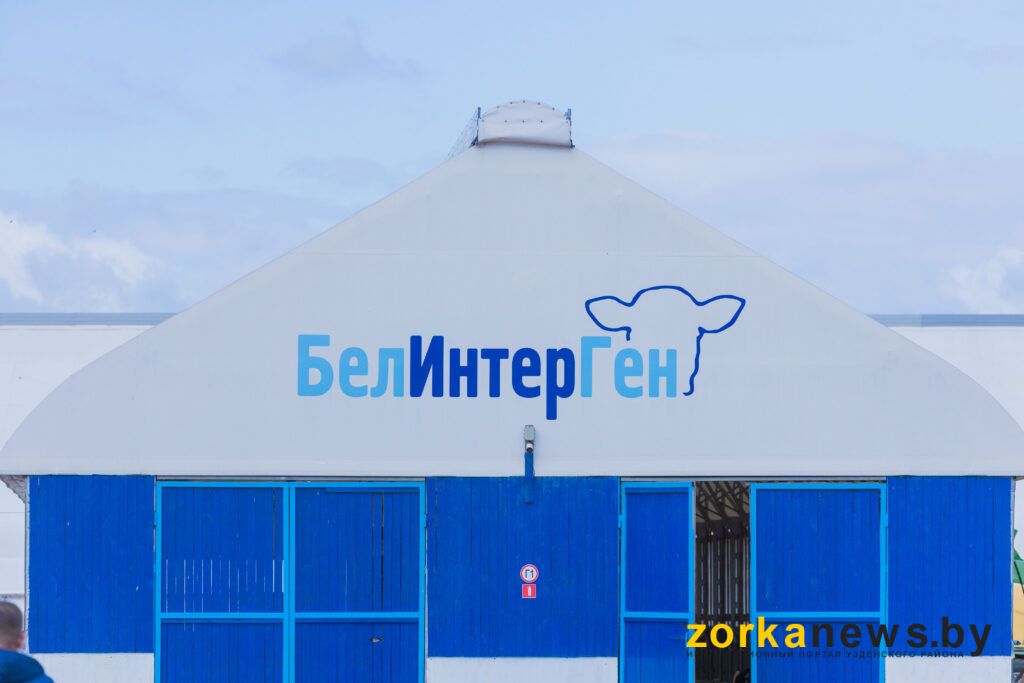 Белинтерген