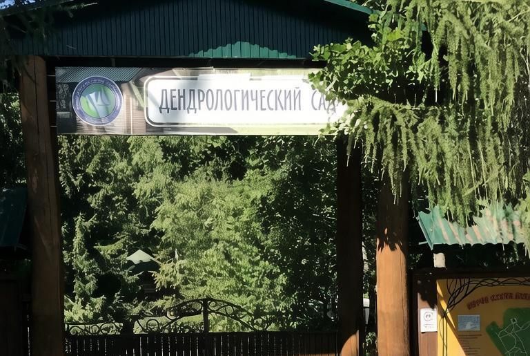 дендросад