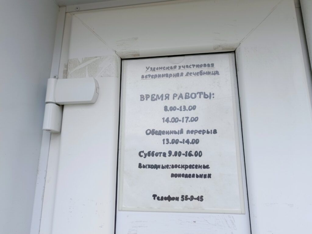 график работы