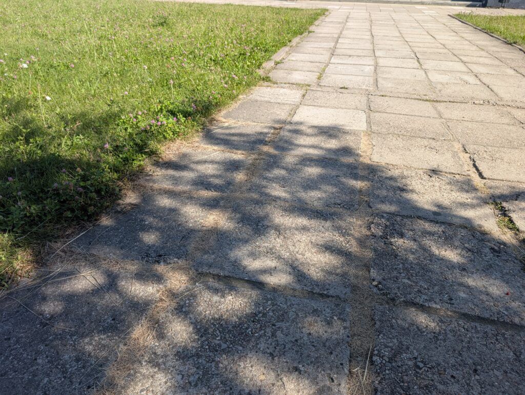 дорожка