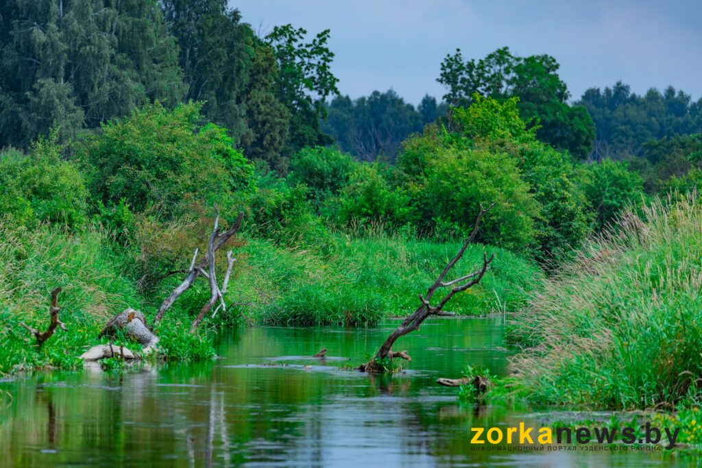 река