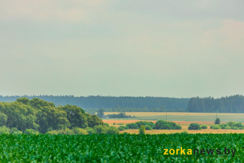 природа