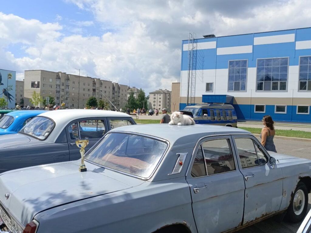 Волга2