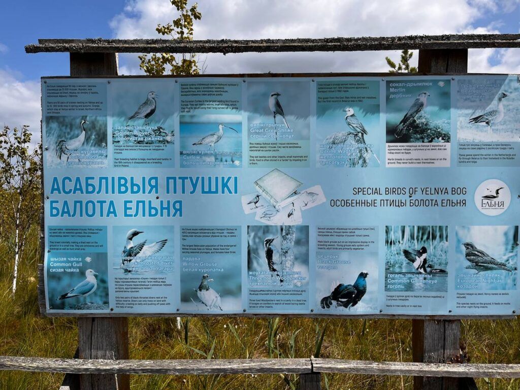 стенд2