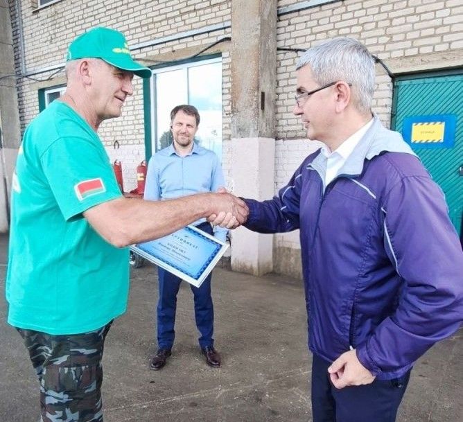 передовик