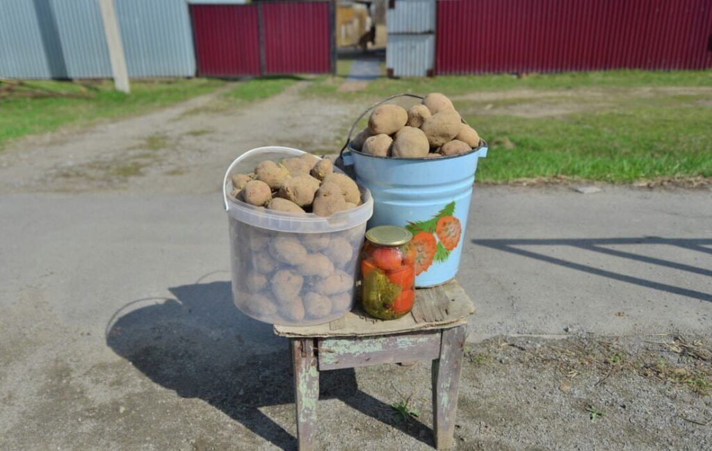 Чем опасны продукты у дороги: советы главного санврача Узды