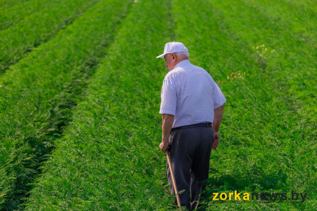 Вадим Лойко