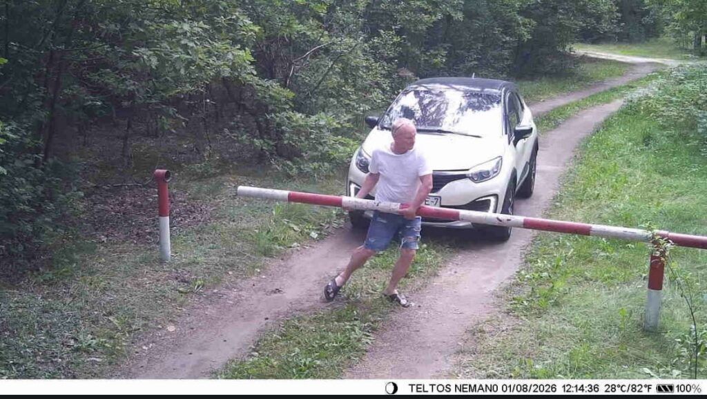 нарушитель в лесу убрал шлагбаум