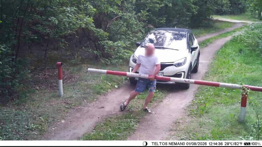 Штраф до 12 базовых: в Узденском районе мужчина самовольно открыл шлагбаум и въехал в лес