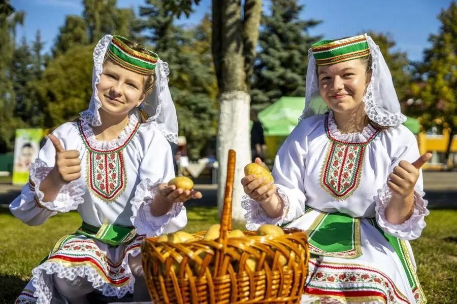 дегустация