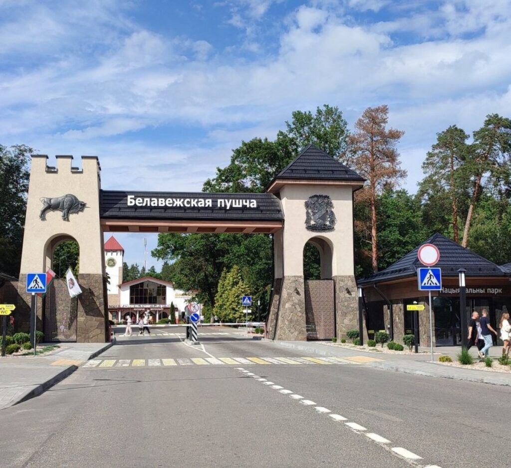 Беловежская пуща