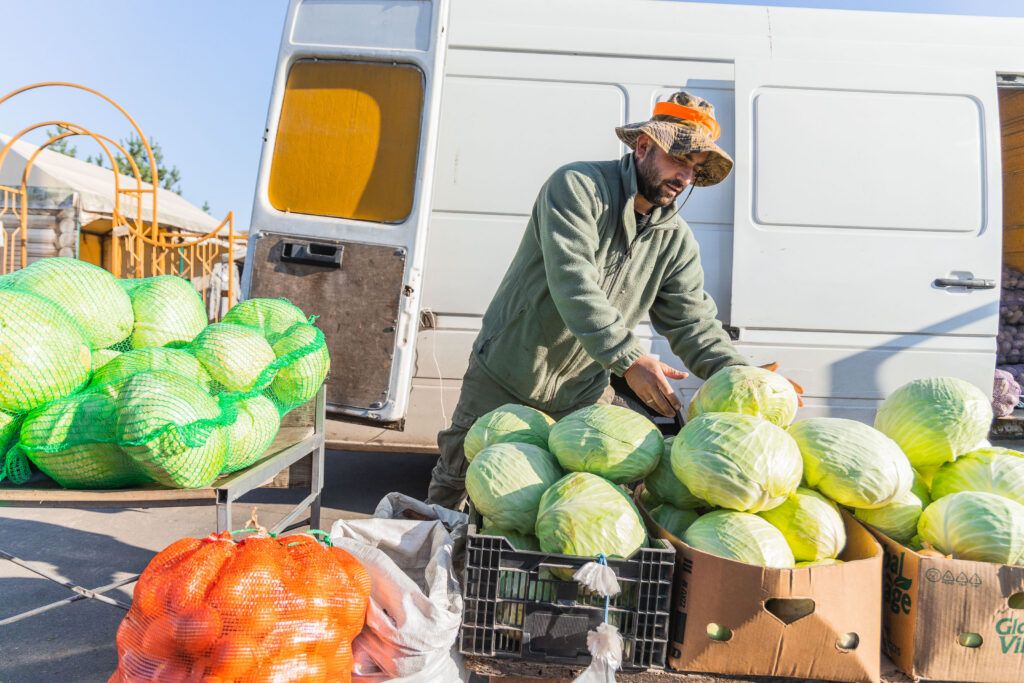 продажа капусты