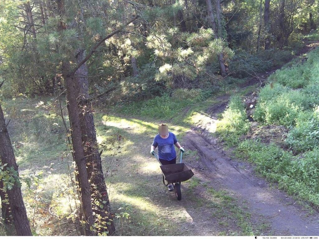 женщина в лесу
